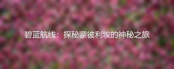 碧蓝航线：探秘蒙彼利埃的神秘之旅