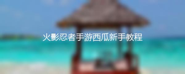 火影忍者手游西瓜新手教程