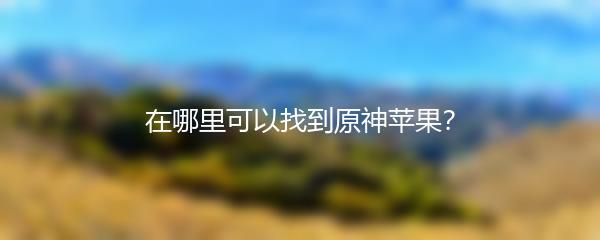 在哪里可以找到原神苹果？