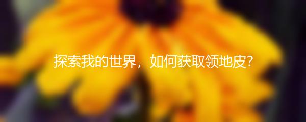 探索我的世界，如何获取领地皮？