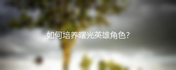 如何培养曙光英雄角色？