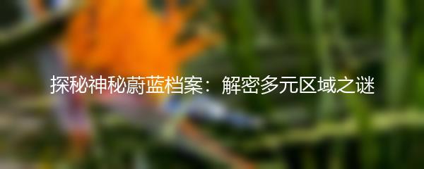 探秘神秘蔚蓝档案：解密多元区域之谜