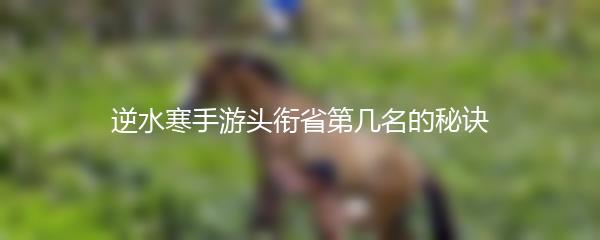 逆水寒手游头衔省第几名的秘诀