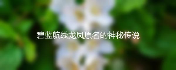 碧蓝航线龙凤原名的神秘传说