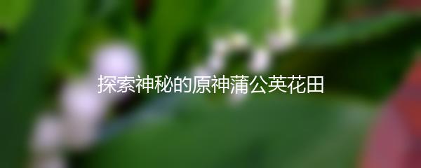 探索神秘的原神蒲公英花田