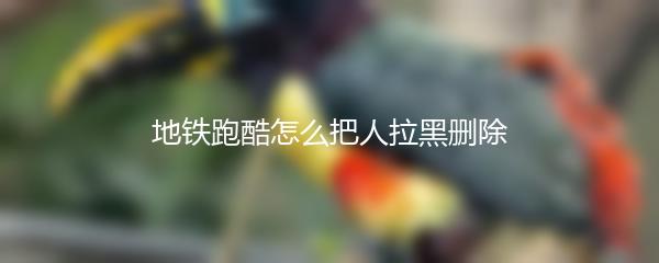 地铁跑酷怎么把人拉黑删除