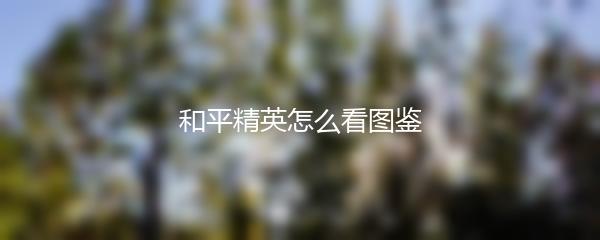 和平精英怎么看图鉴