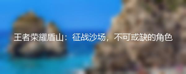 王者荣耀盾山：征战沙场，不可或缺的角色