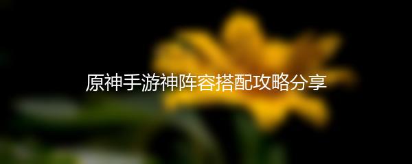 原神手游神阵容搭配攻略分享