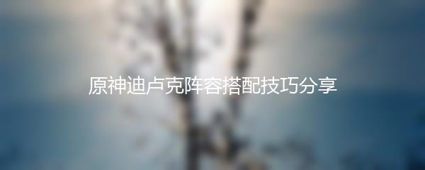 原神迪卢克阵容搭配技巧分享