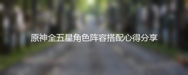 原神全五星角色阵容搭配心得分享