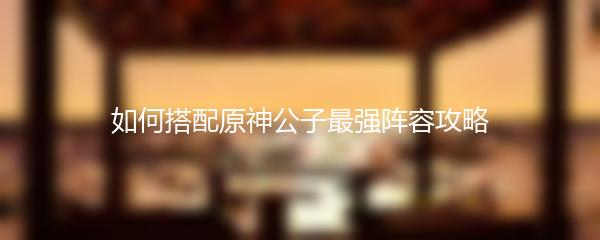 如何搭配原神公子最强阵容攻略