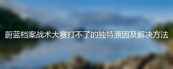 蔚蓝档案战术大赛打不了的独特原因及解决方法