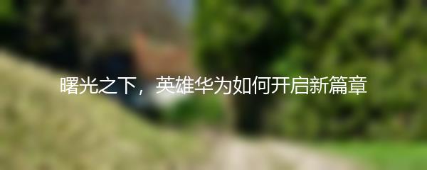 曙光之下，英雄华为如何开启新篇章