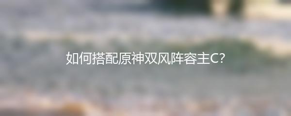 如何搭配原神双风阵容主C？