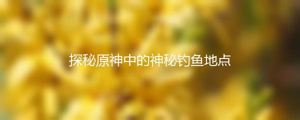 探秘原神中的神秘钓鱼地点