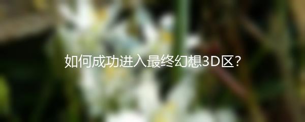 如何成功进入最终幻想3D区？