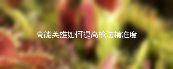 高能英雄如何提高枪法精准度