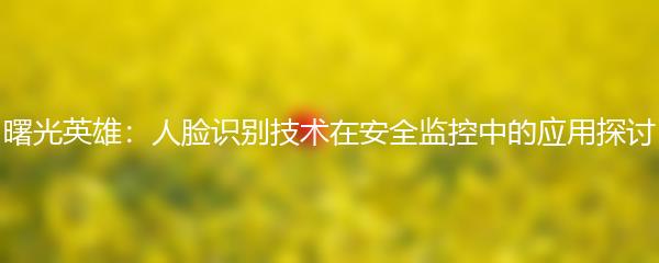 曙光英雄：人脸识别技术在安全监控中的应用探讨