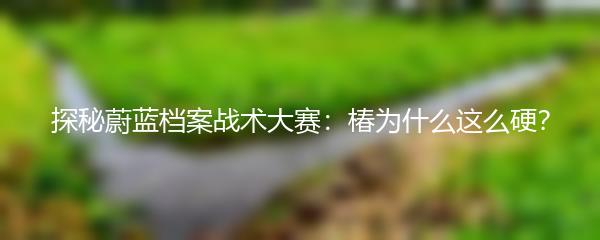 探秘蔚蓝档案战术大赛：椿为什么这么硬？