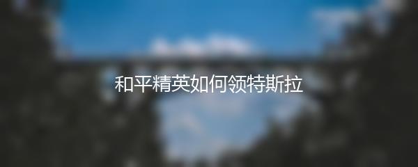 和平精英如何领特斯拉