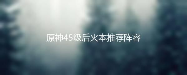 原神45级后火本推荐阵容