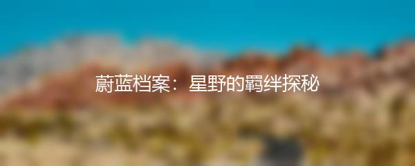 蔚蓝档案：星野的羁绊探秘