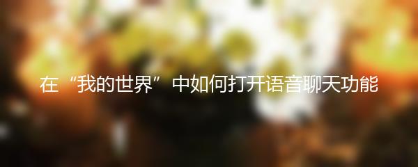 在“我的世界”中如何打开语音聊天功能