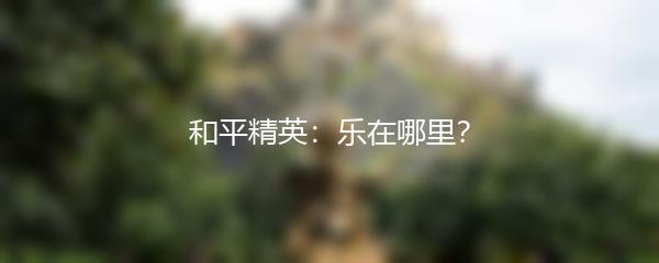 和平精英：乐在哪里？