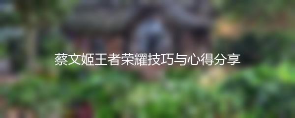 蔡文姬王者荣耀技巧与心得分享