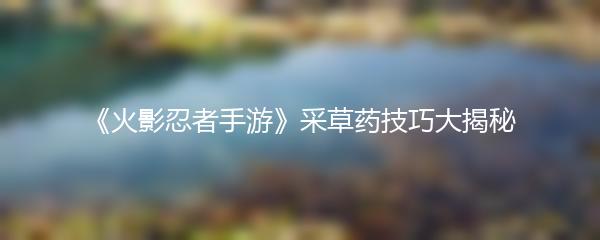 《火影忍者手游》采草药技巧大揭秘