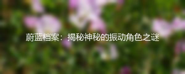 蔚蓝档案：揭秘神秘的振动角色之谜