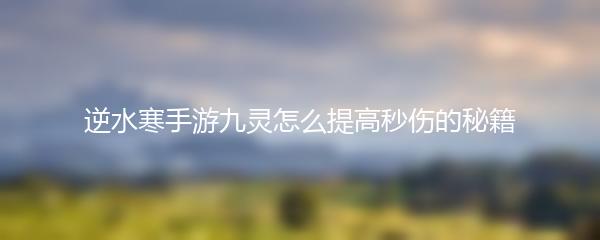 逆水寒手游九灵怎么提高秒伤的秘籍