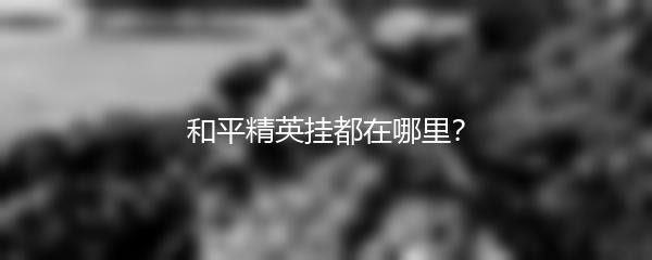 和平精英挂都在哪里？