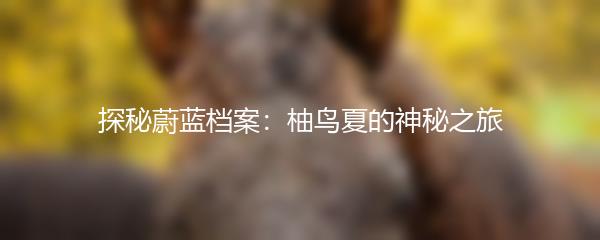 探秘蔚蓝档案：柚鸟夏的神秘之旅