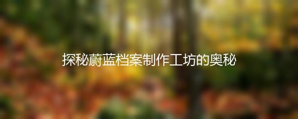探秘蔚蓝档案制作工坊的奥秘