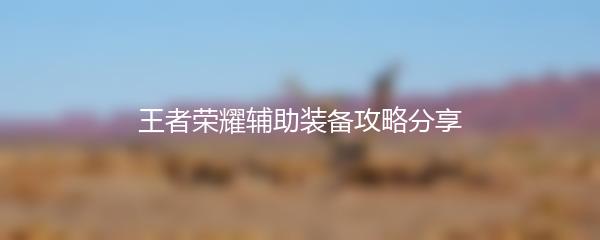 王者荣耀辅助装备攻略分享