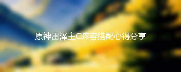 原神雷泽主C阵容搭配心得分享