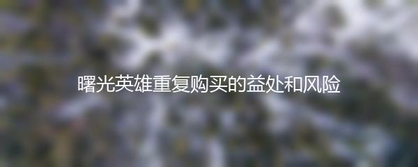 曙光英雄重复购买的益处和风险
