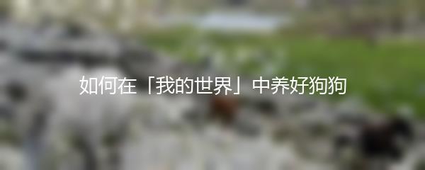 如何在「我的世界」中养好狗狗