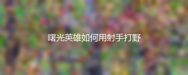 曙光英雄如何用射手打野