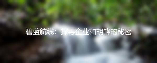 碧蓝航线：探寻企业和胡蜂的秘密