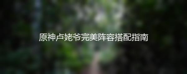 原神卢姥爷完美阵容搭配指南