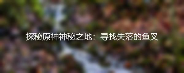 探秘原神神秘之地：寻找失落的鱼叉