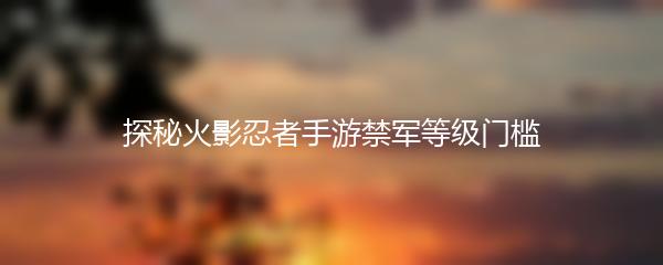 探秘火影忍者手游禁军等级门槛