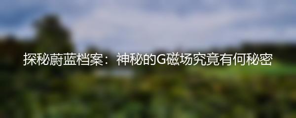 探秘蔚蓝档案：神秘的G磁场究竟有何秘密