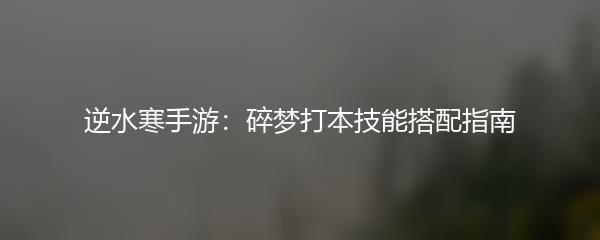逆水寒手游：碎梦打本技能搭配指南