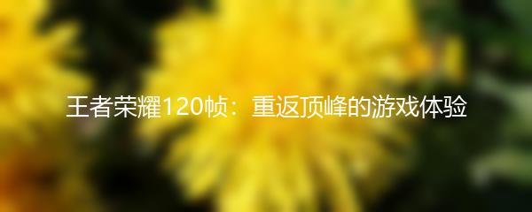 王者荣耀120帧：重返顶峰的游戏体验