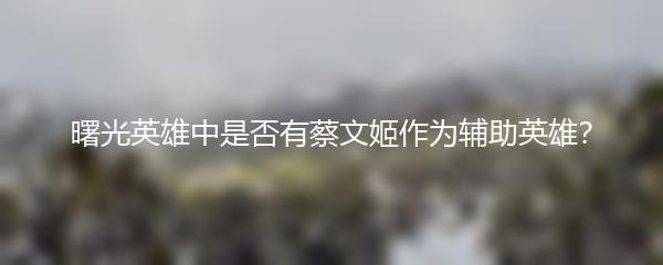 曙光英雄中是否有蔡文姬作为辅助英雄？