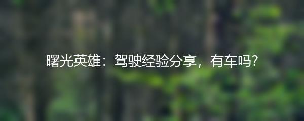 曙光英雄：驾驶经验分享，有车吗？
